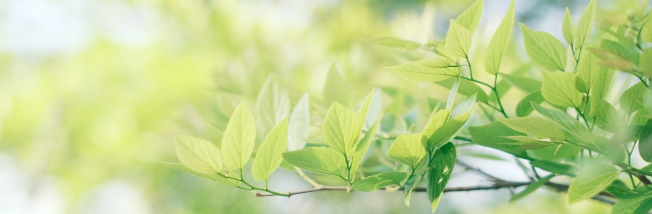 Policy Is a Promise. Architecture Is Physics.