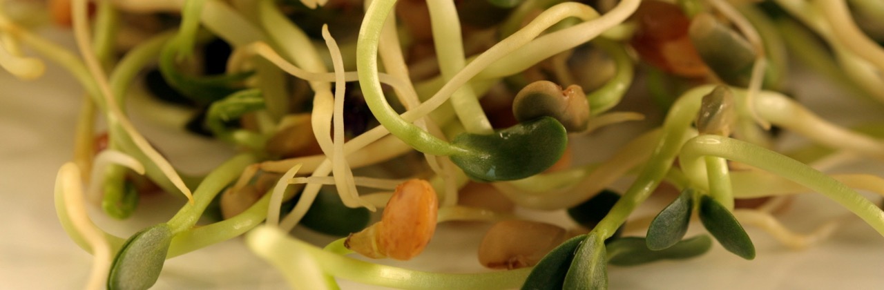 Capability Floors: Why Your Model Sets Your Security Posture