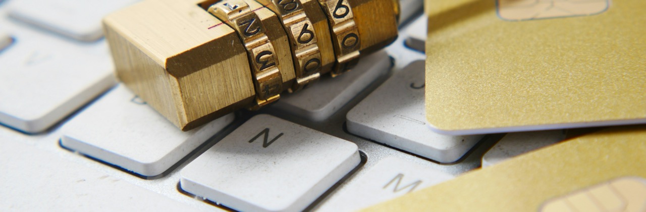 Mandates Are Not Blank Checks